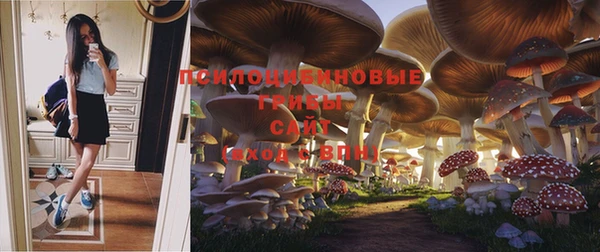 марки lsd Покачи